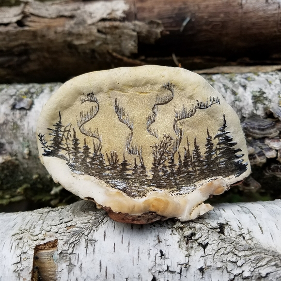 Meet your Posher, Chelsea - Picture 2 of 12